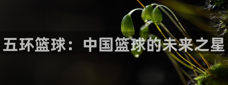 五环篮球：中国篮球的未来之星